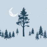 Lo sapevi che gli scoiattoli dimenticano una parte delle noci che nascondono e così creano nuove foreste?